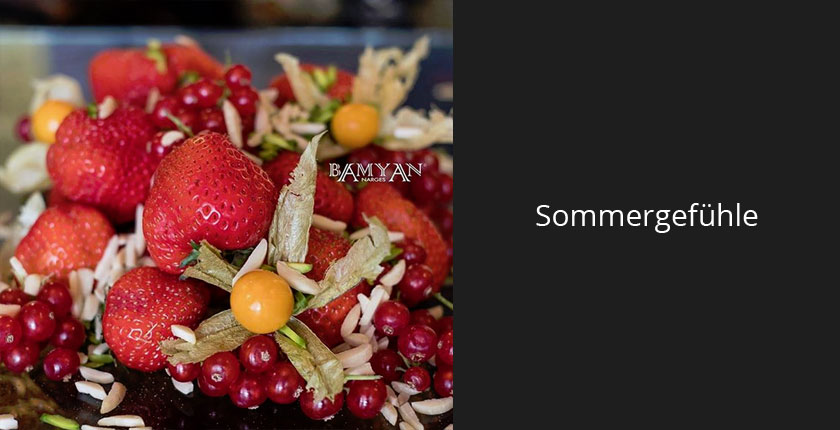 Holen Sie ihre Sommergefühle zurück