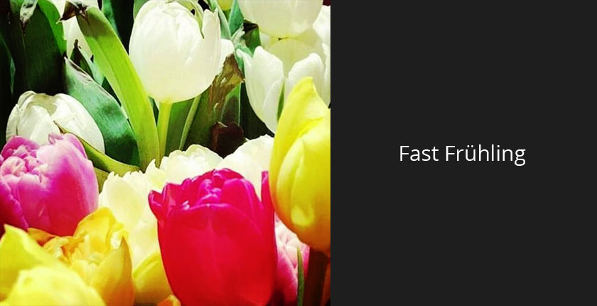 Münchner Frühling im Januar? Bamyan Narges