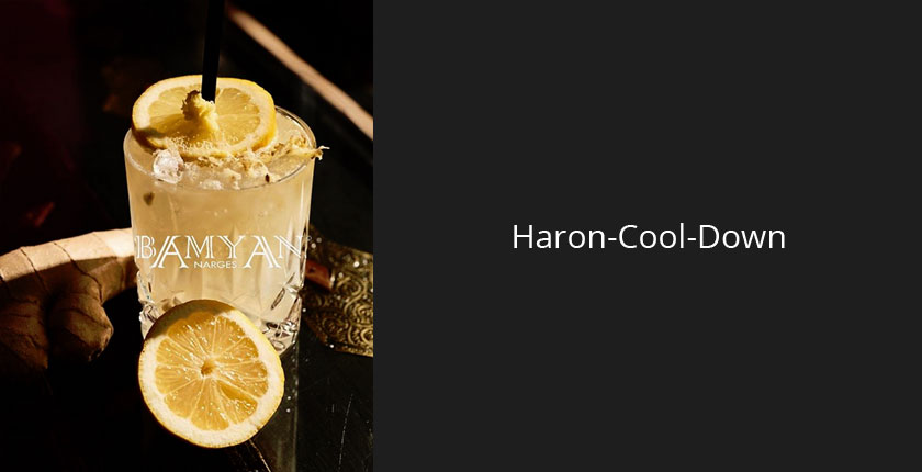 Ein perfekter Drink für Cocktail-Enthusiasten