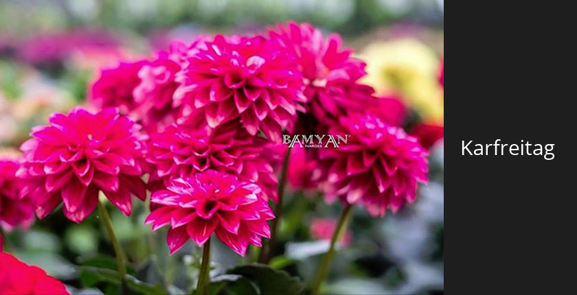 Gesund und lecker essen am Karfreitag