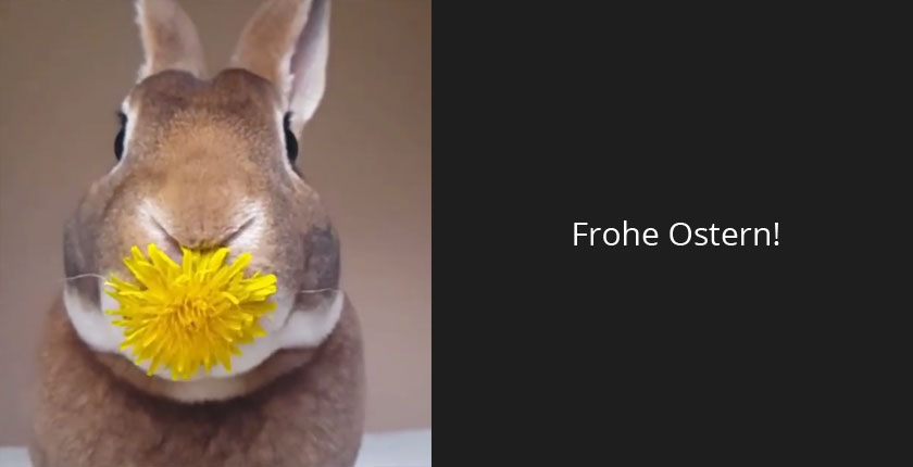 Frohe Ostern wünscht das BAMYAN NARGES Team