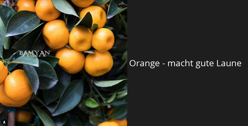 BAMYAN | sommerliche Gerichte mit Orangen
