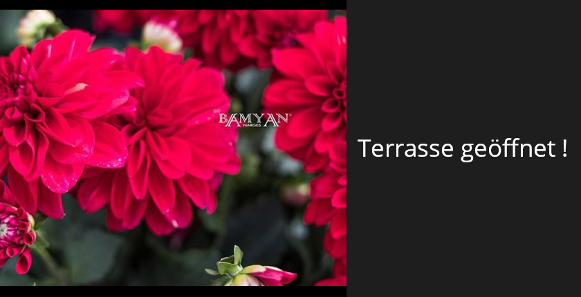 Bamyan Narges Terrase München